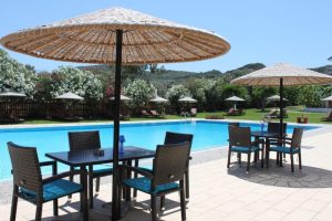 774e917fbfb82afcf18e258b91d34bb0_f1024x1024